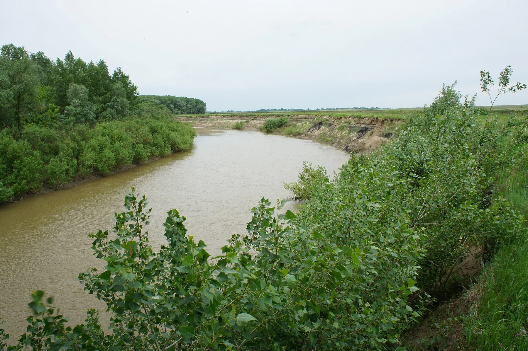 Река Алей