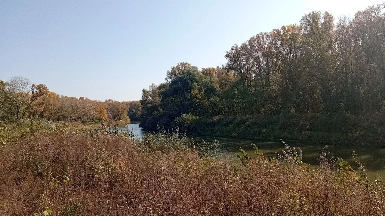 Река Алей