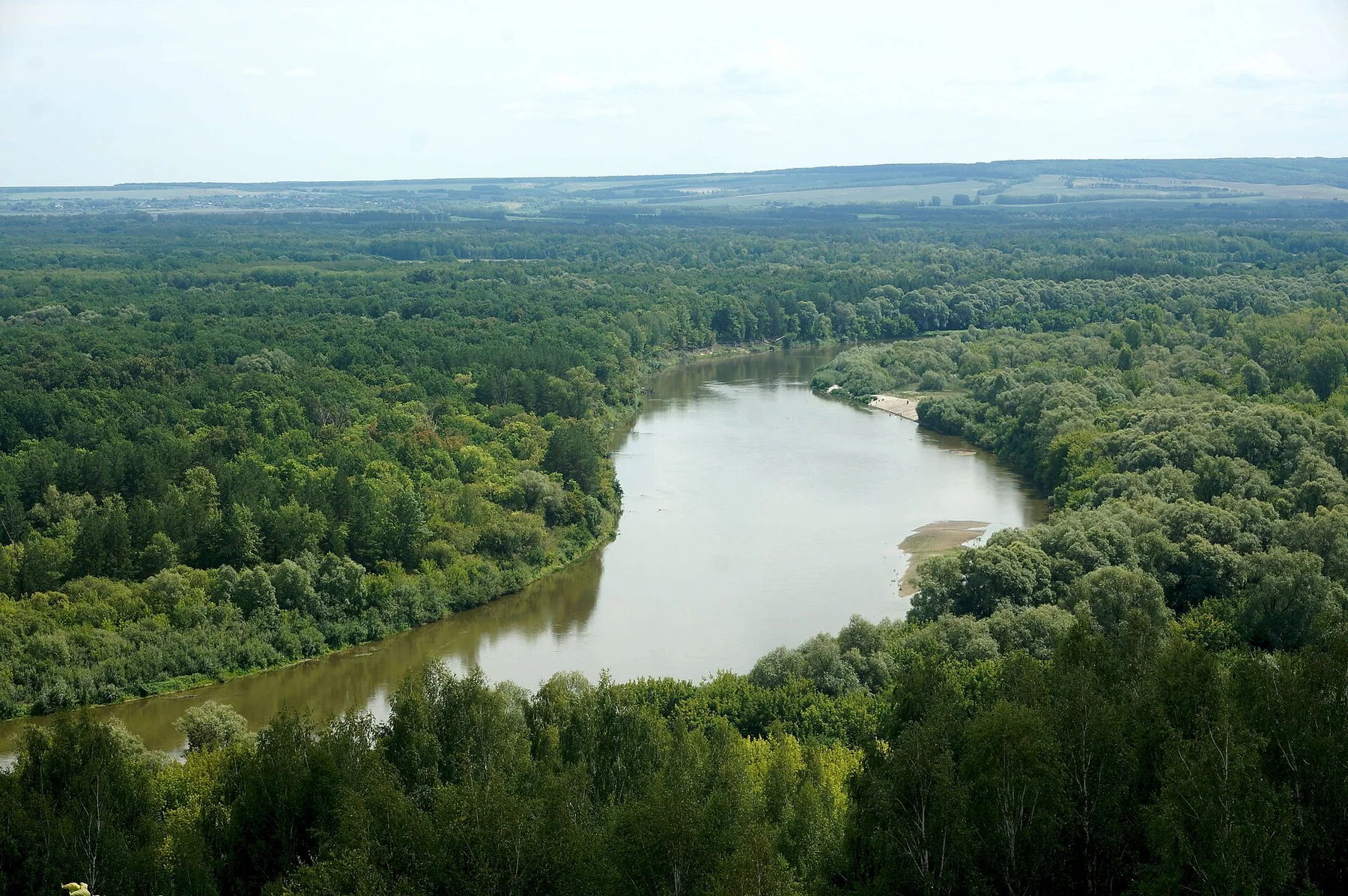 Сура у Сурского