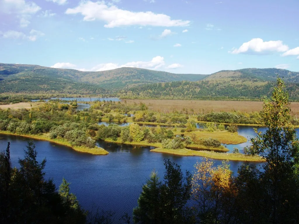 Река Тумнин