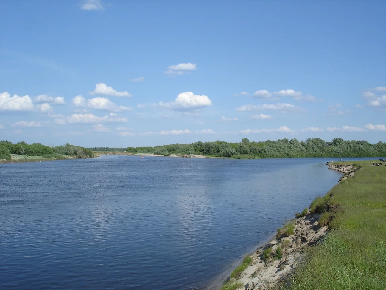 Устье реки Цны (справа)