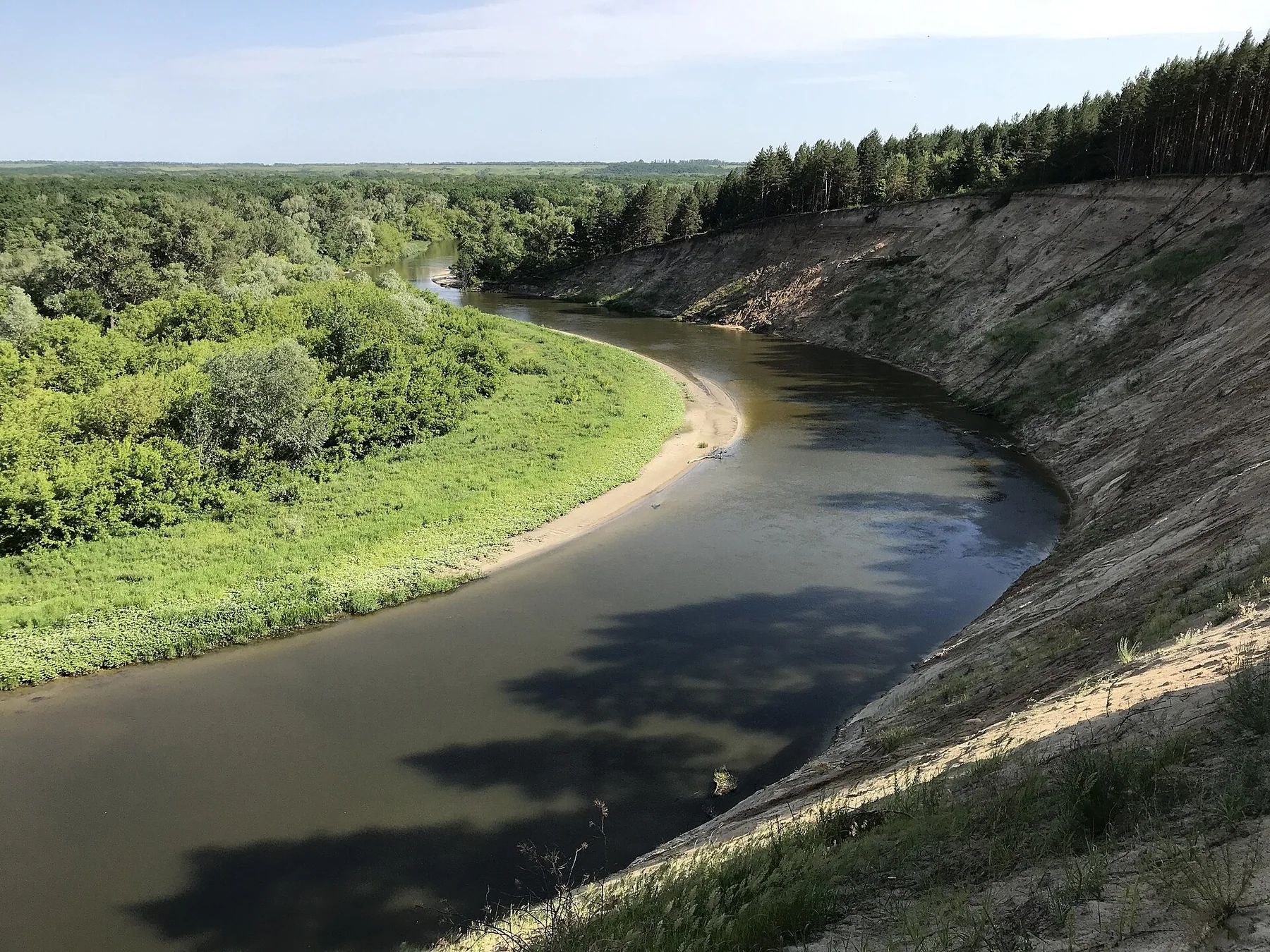 Алмазовский заказник, обрыв у деревни Никольевка