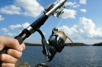 Как выбрать правильную удочку для рыболовства на реках